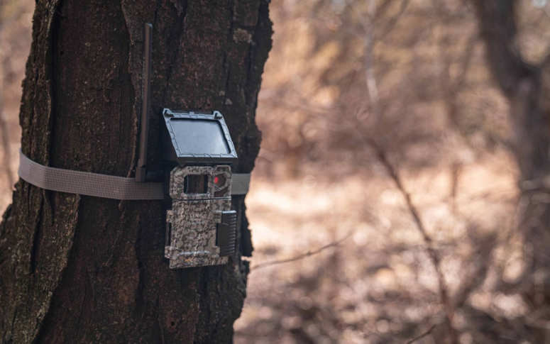 SPYPOINT LINK MICRO S LTE Caméra pour la faune sauvage Foto Erhardt