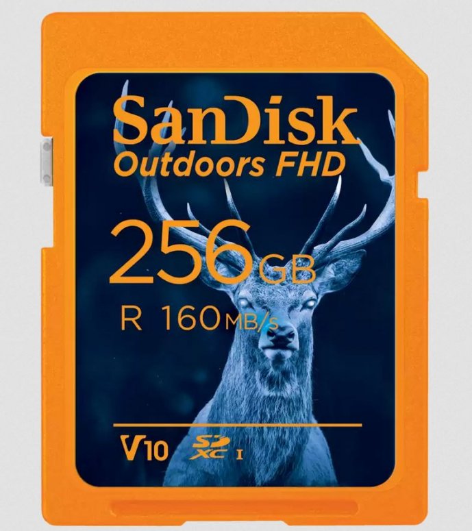 SanDisk Outdoors FHD SDXC UHS-I Karte 256GB