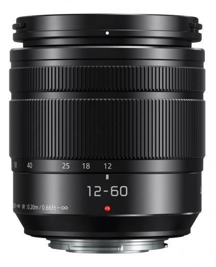Panasonic Lumix G Vario H-FS 12-60mm f3,5-5,6 Asph.