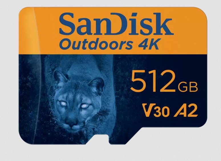 SanDisk Outdoors 4K microSDXC-UHS-I Karte 512GB