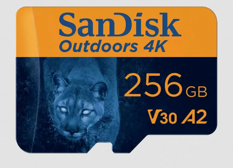 SanDisk Outdoors 4K microSDXC-UHS-I Karte 256GB