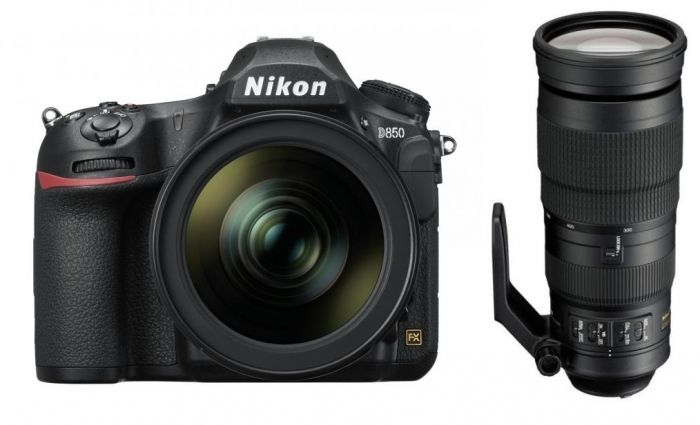 Nikon D850 + 24-120mm f4G ED VR + 200-500mm f5,6 ED VR