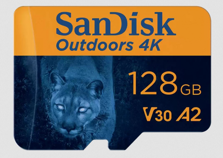 SanDisk Outdoors 4K microSDXC-UHS-I Karte 128GB