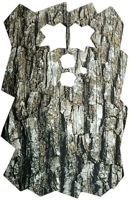 Minox Front panel for DTC 460 (oak)
