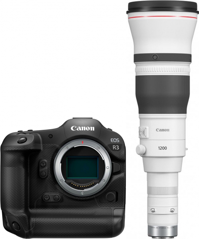 Canon EOS R3 + RF 1200mm f8 L IS USM