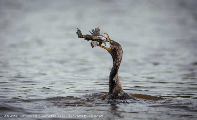 Sony Alpha ILCE-9 III Gehäuse