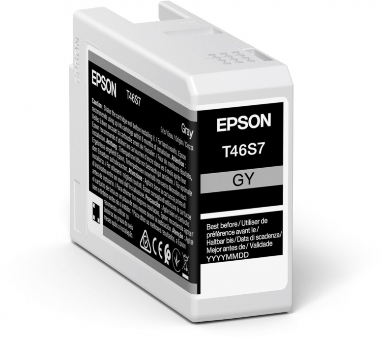 Epson Patrone C13T46S700 Gray 25ml für P700