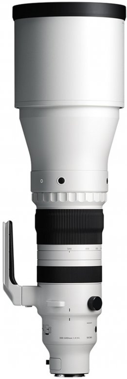 Sigma 300-600mm F4 DG OS (S) Sony E