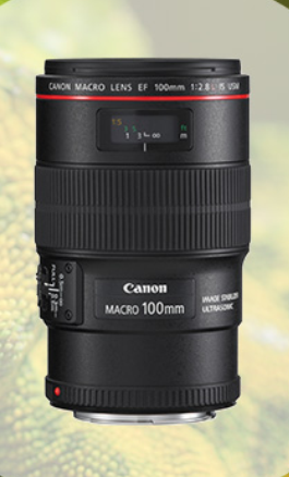 Canon 100 mm f2,8 L IS USM Macro Kundenretoure