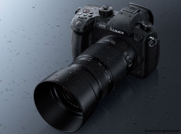 LUMIX G VARIO 100-300mm F4.0-5.6 Ⅱ - カメラ