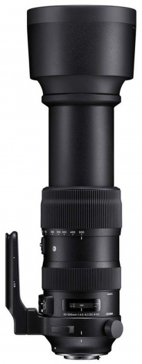 Sigma 60-600mm f4.5-6.3 DG OS HSM (S) Canon - Foto Erhardt