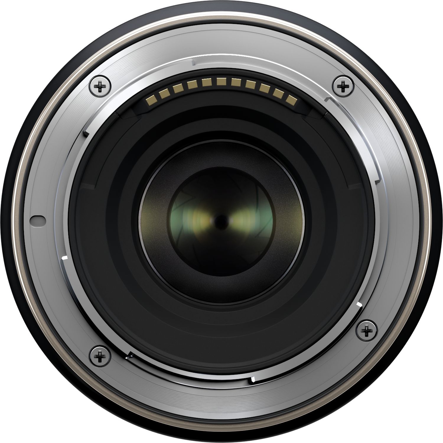 Nikon Z30 + Tamron 17-70mm f/2.8 Di III-A VC RXD - Foto Erhardt