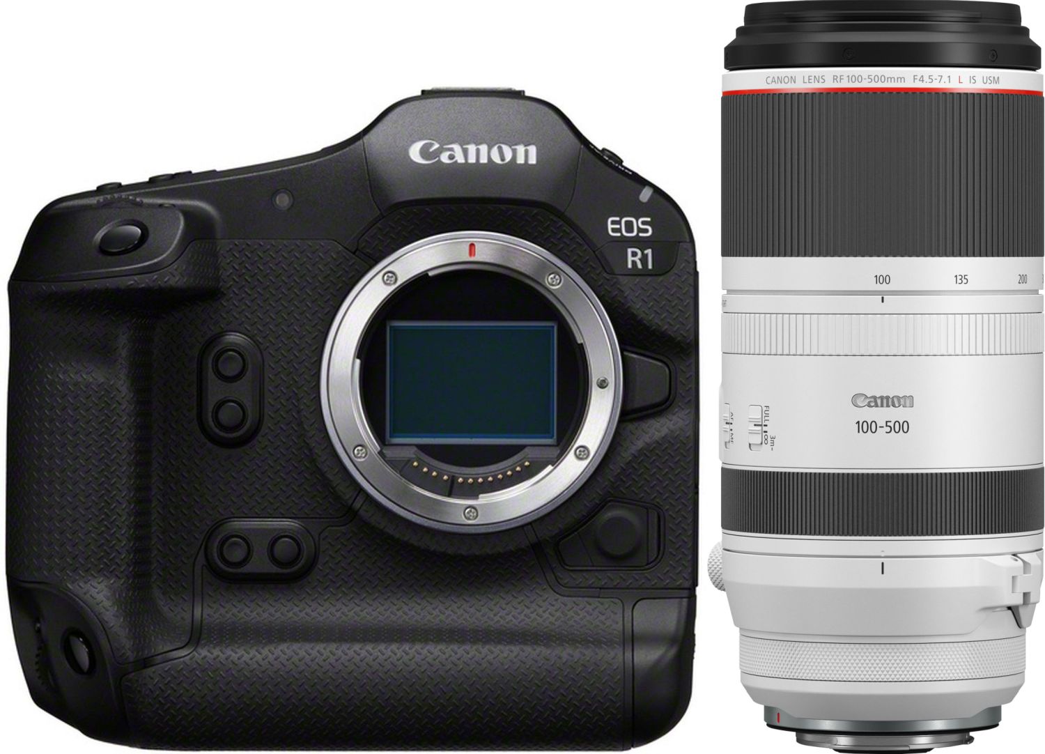 Canon EOS R1 + RF 100-500mm f4,5-7,1 L IS USM