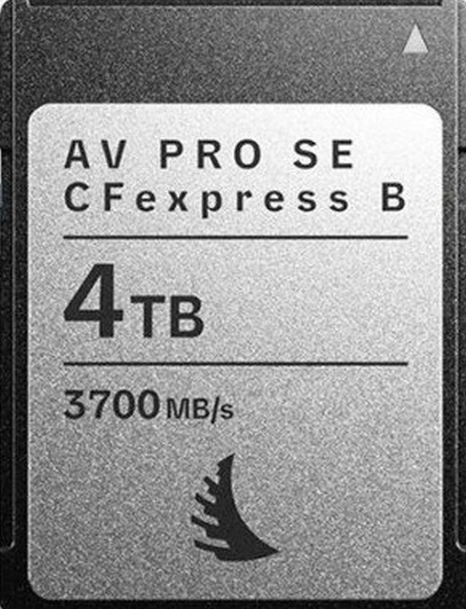 Angelbird AV PRO SE CFexpress v4 MK2 4TB Typ B