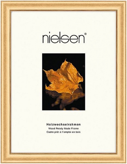 Nielsen Derby wooden frame 18x24 gold