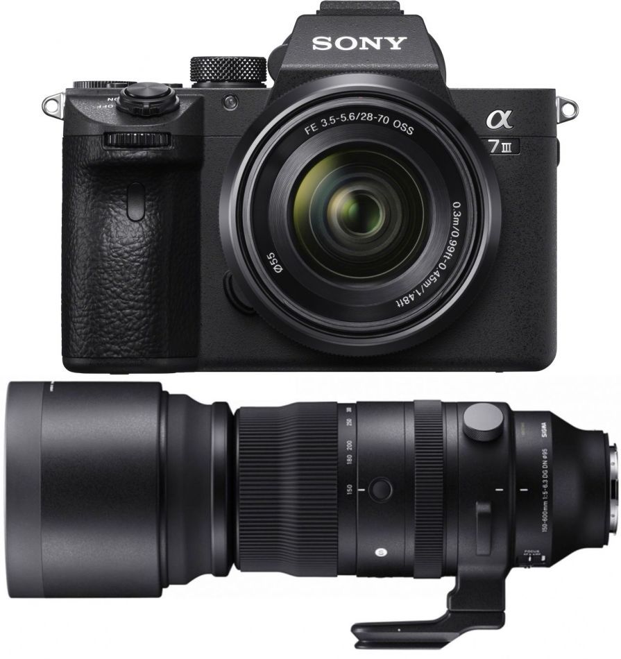 Sony Alpha ILCE-7 III + 28-70mm + Sigma 150-600mm f5-6.3 DG DN OS [S]