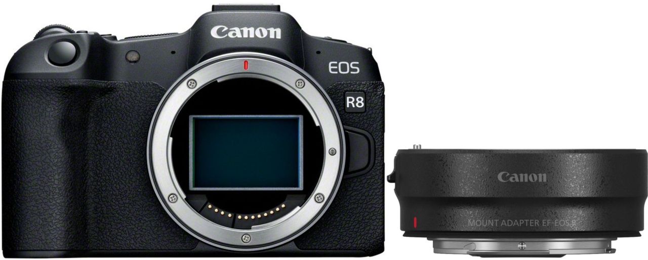 Canon EOS R8 + adaptateur baïonnette EF-EOS R