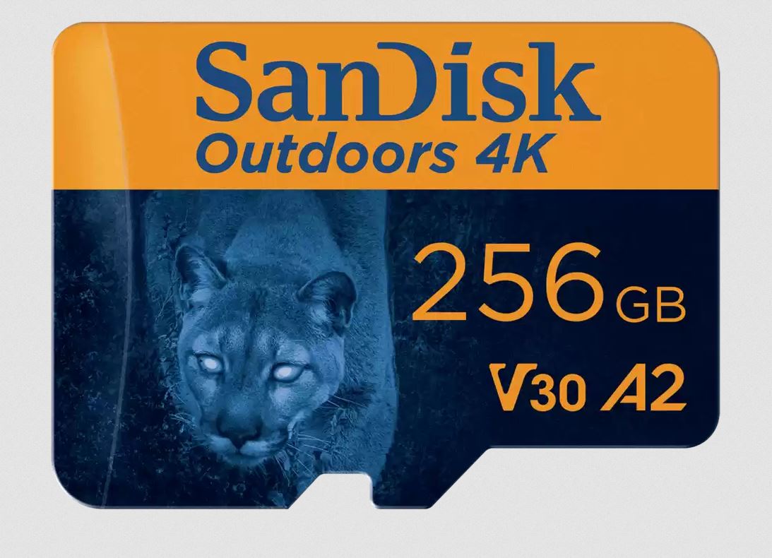 SanDisk Carte Outdoors 4K microSDXC-UHS-I 256GB