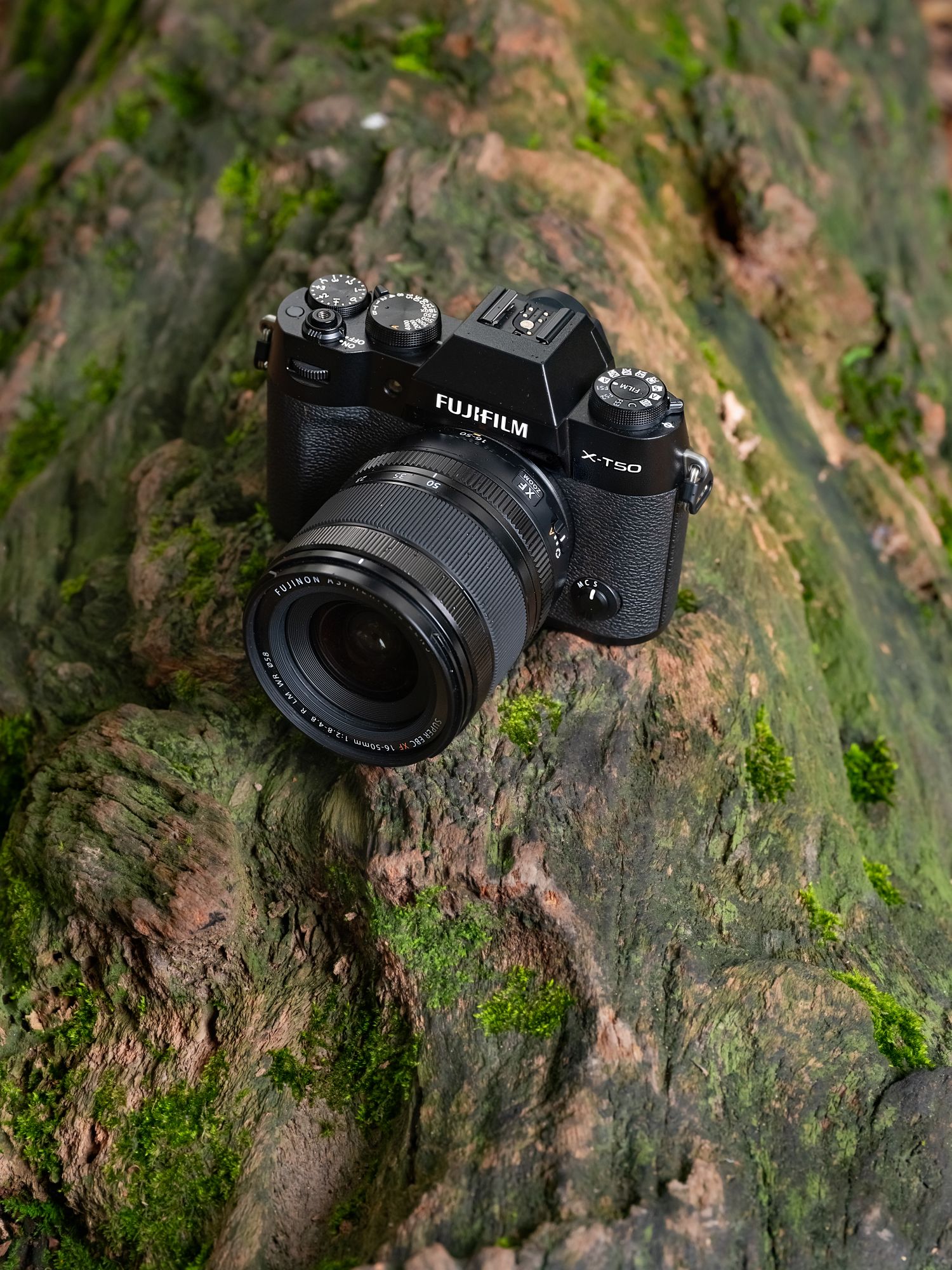 Fujifilm X T50 Noir XF 18 120mm F4 LM PZ WR Foto Erhardt