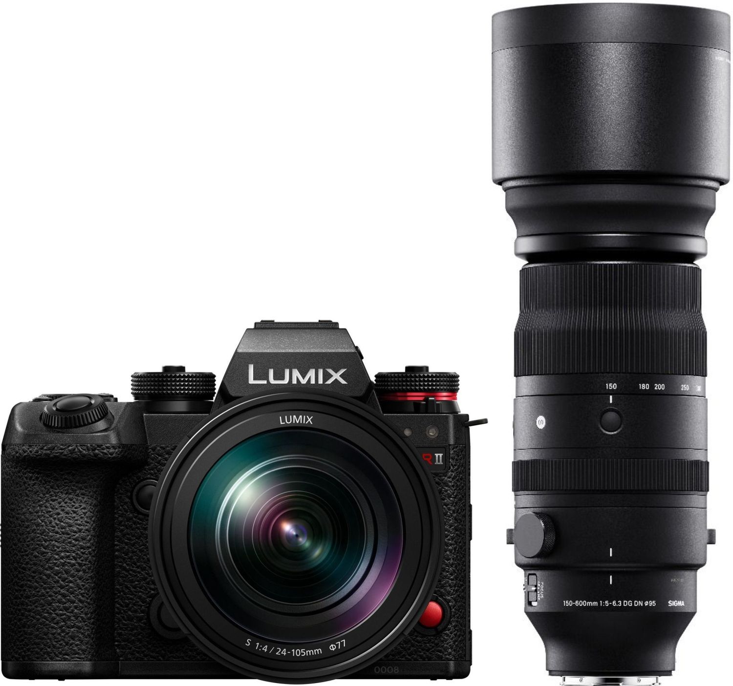 Panasonic Lumix DC-S1RII + S 24-105mm f4 + Sigma 150-600mm f5-6,3 L-Mo