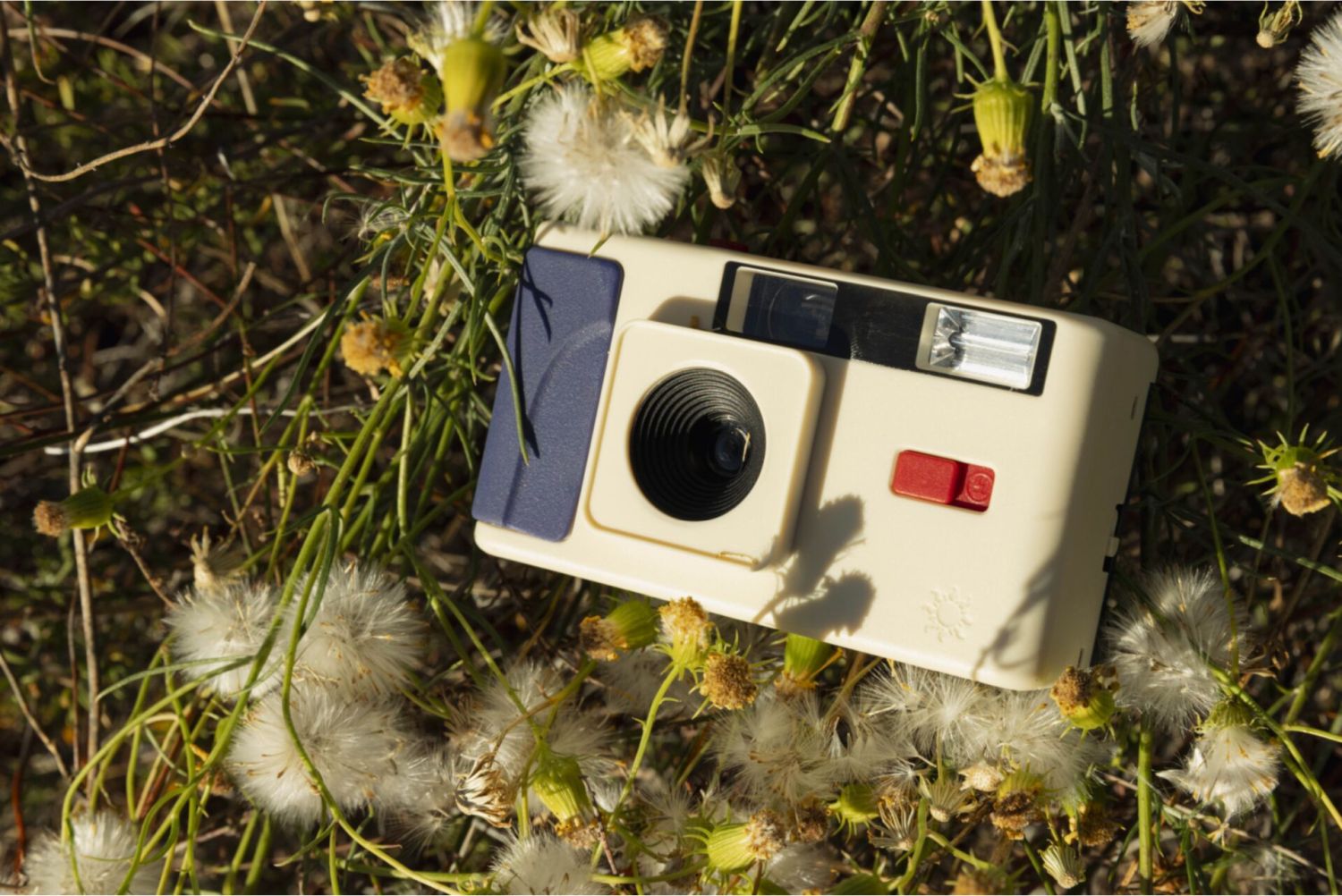 Long Weekend 35mm Film Camera Cream Multicolor