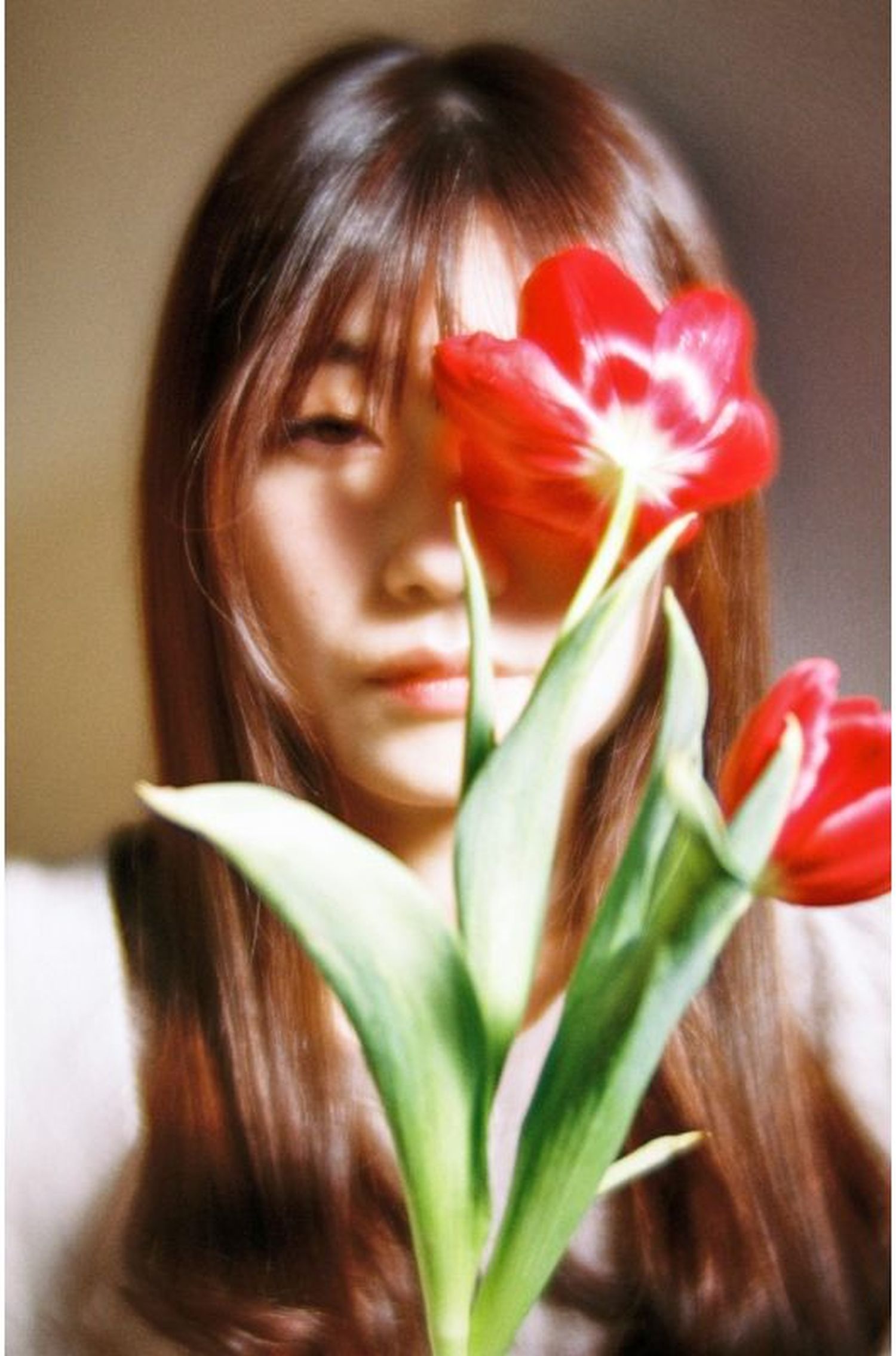 Lomography Color Negatives 35mm ISO 100 Pack of Foto Erhardt