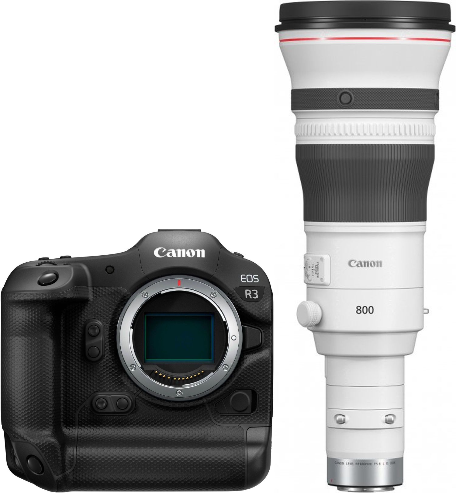 Technische Daten  Canon EOS R3 + RF 800mm f5,6 L IS USM