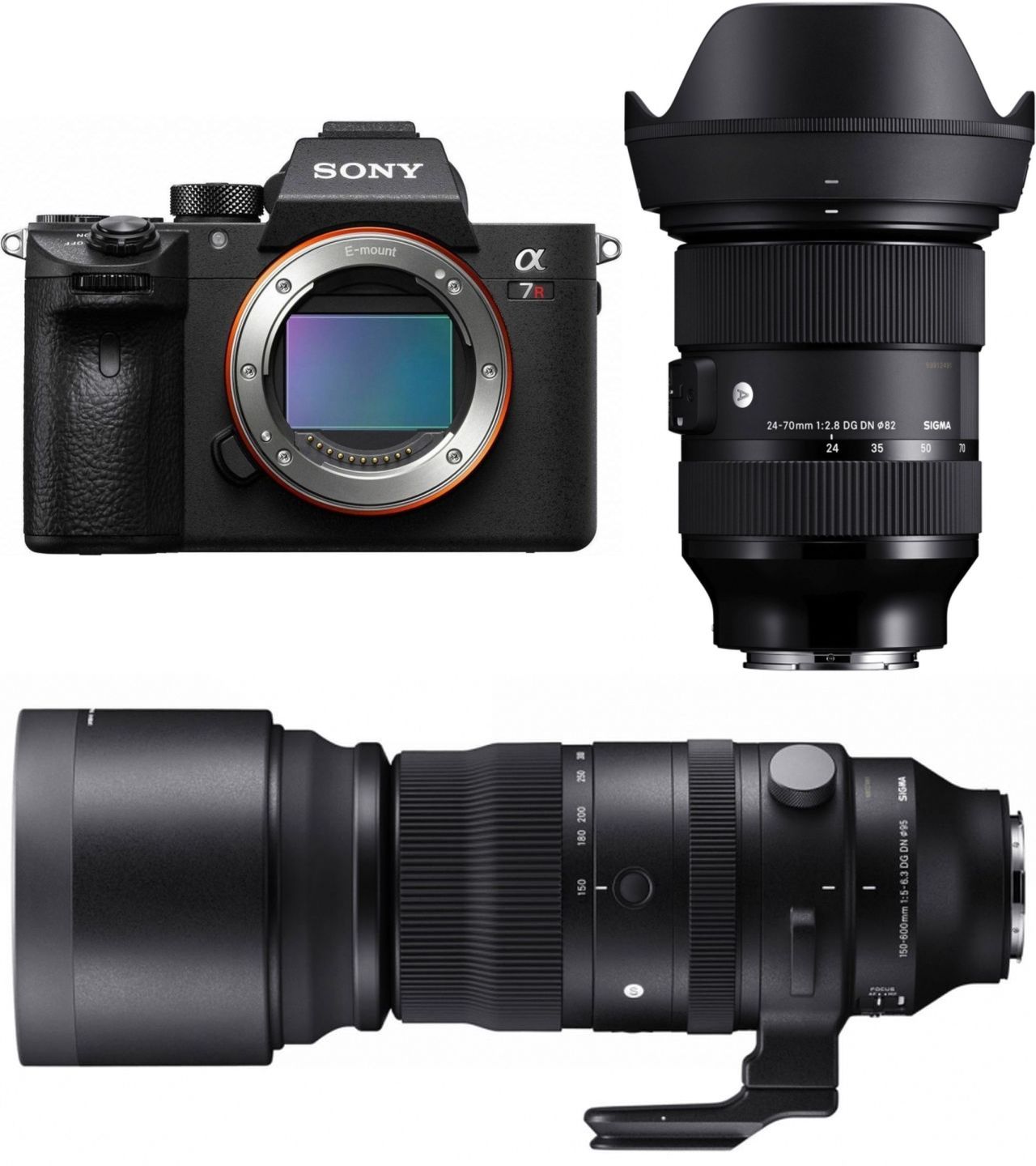 Sony Alpha ILCE 7R IV + Sigma 24-70mm f2.8 + Sigma 150-600mm f5-6.3