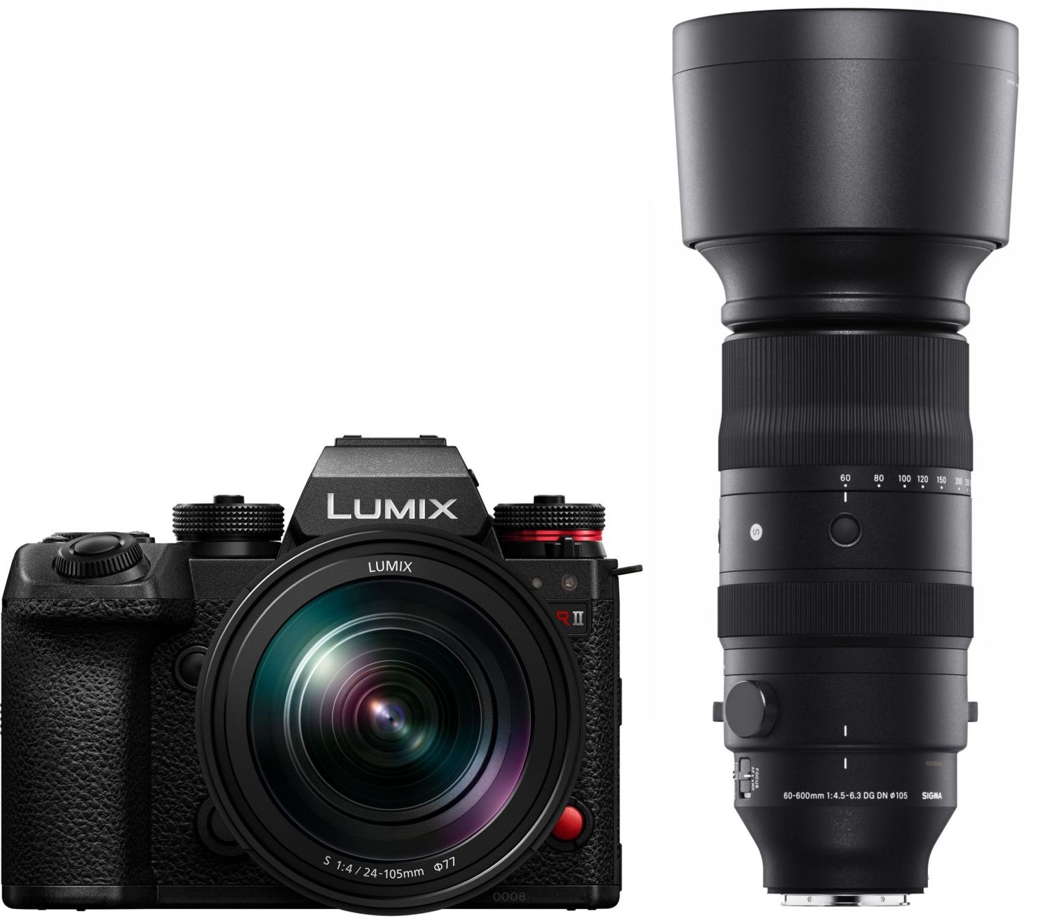 Panasonic Lumix DC-S1RII+S 24-105mm f4 + Sigma 60-600mm f4.5-6.3 L-Mo