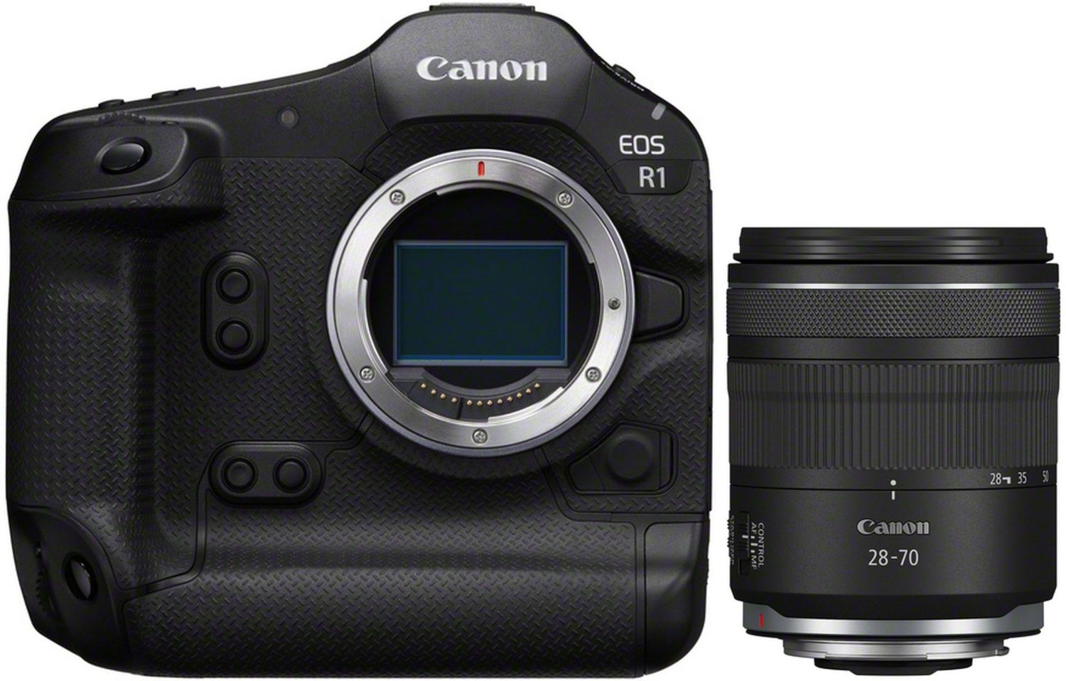 Canon EOS R1 + RF 28-70mm f2.8 IS STM