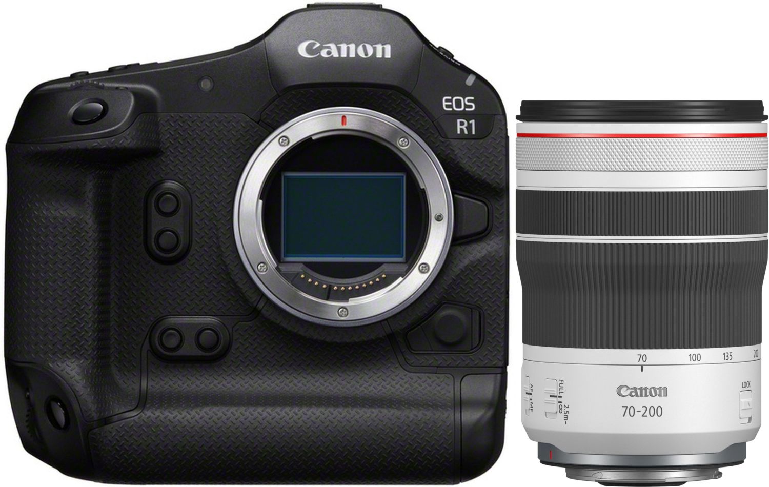 Canon EOS R1 + RF 70-200mm f4 L IS USM