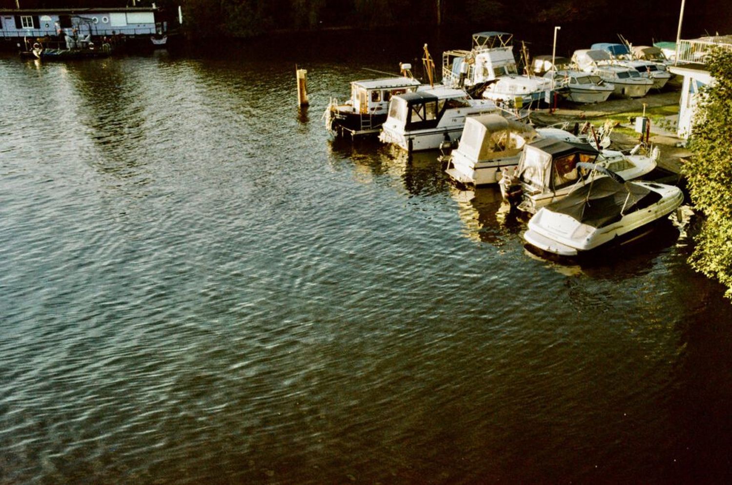 ORWO WOLFEN Color Negativfilm NC500 Kleinbild 36 Aufnahmen