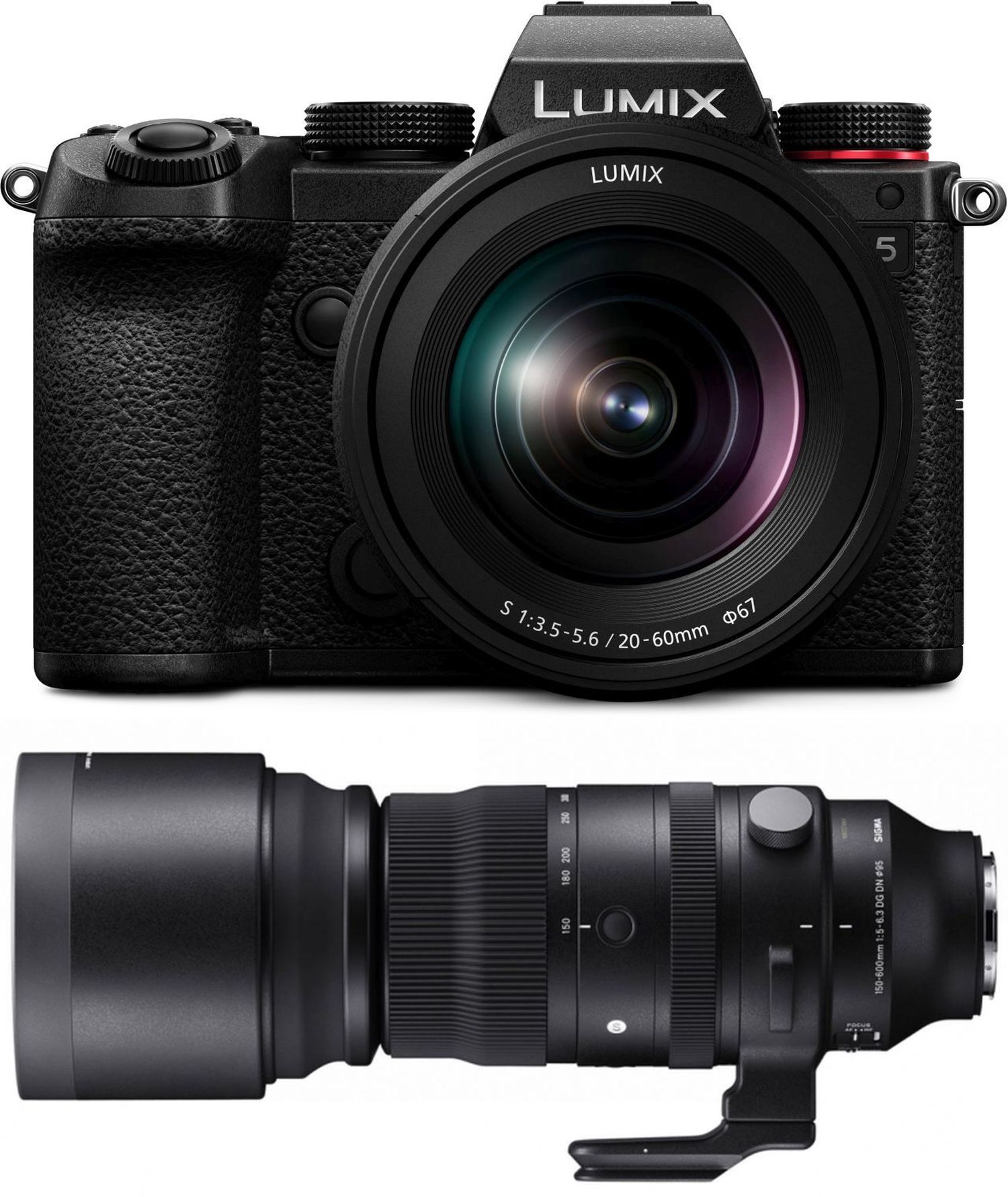 Panasonic Lumix DC-S5 + 20-60mm f3.5-5.6 + Sigma 150-600mm f5-6.3 DG