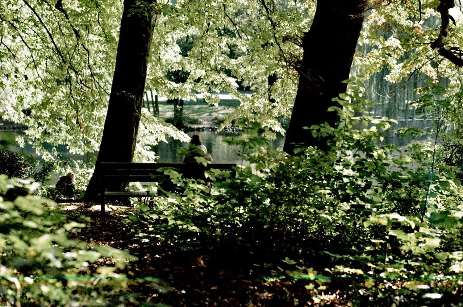ORWO WOLFEN Color Negativfilm NC500 Kleinbild 36 Aufnahmen