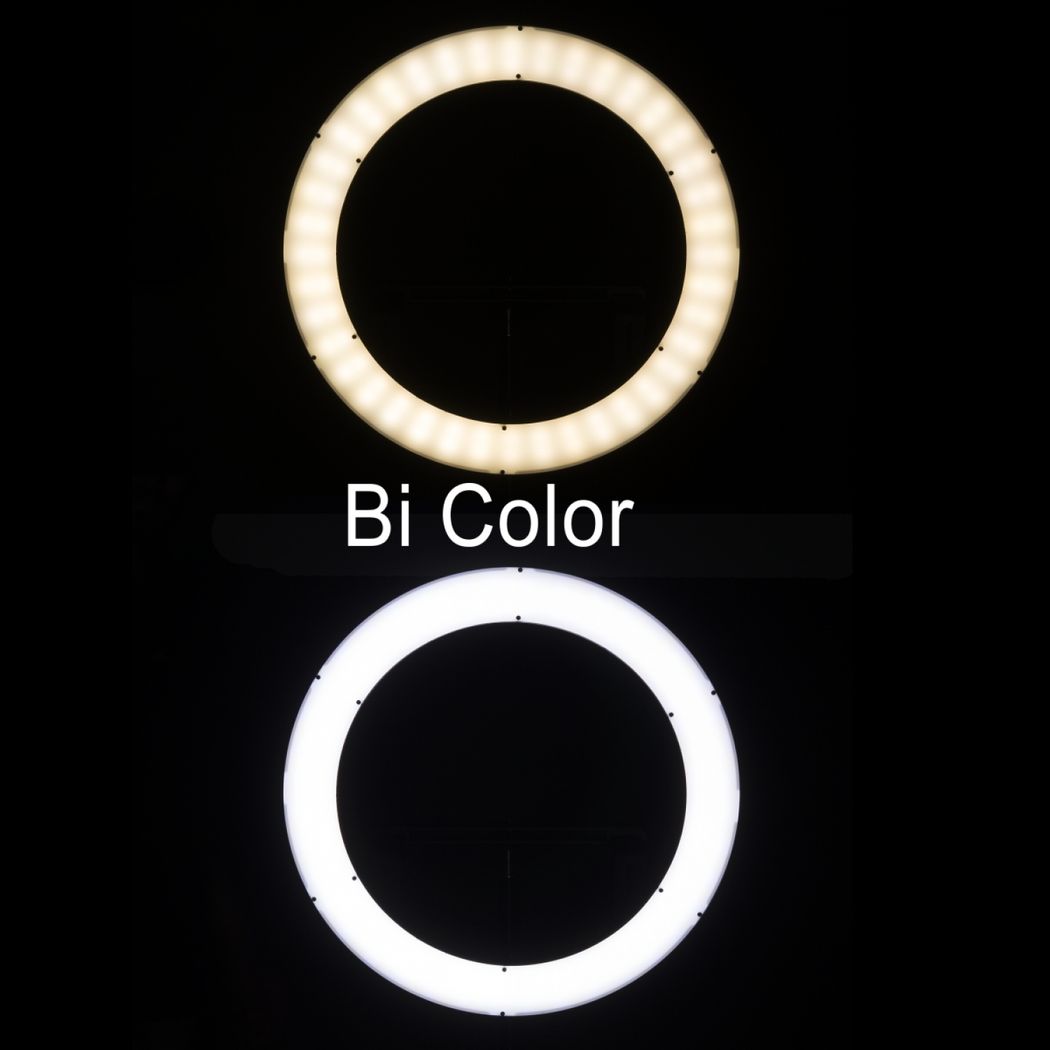 HIFFIN Right Plus 6 Inch LED Ring Light with Stand Multicolored Lights  Makeup & Vlogging at Rs 290/piece | Light Emitting Diode Ring Light in  Ghaziabad | ID: 25563317997