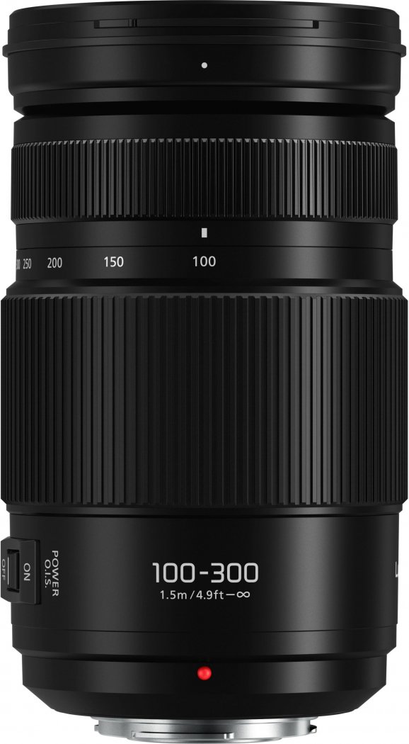 Panasonic Lumix G Vario 100-300mm f4.0-5.6 II OIS - Foto Erhardt