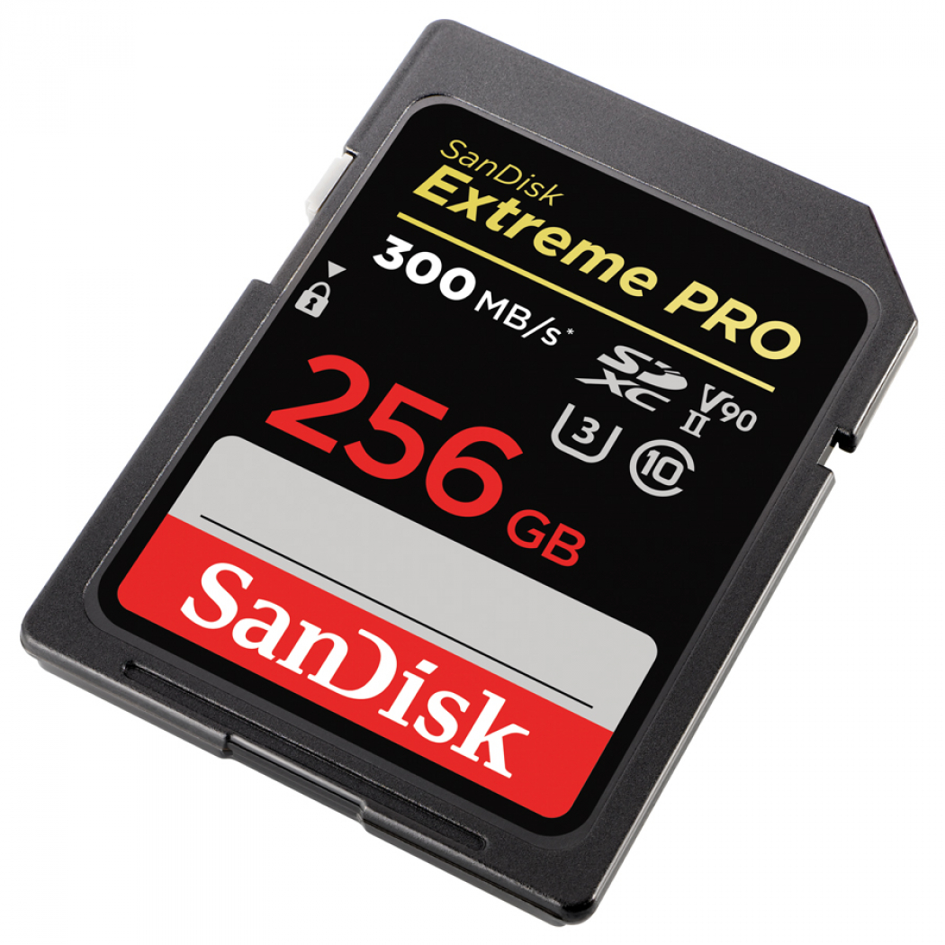 SanDisk SDXC Extreme Pro 256GB 300MB/s V90 UHS II - Foto Erhardt