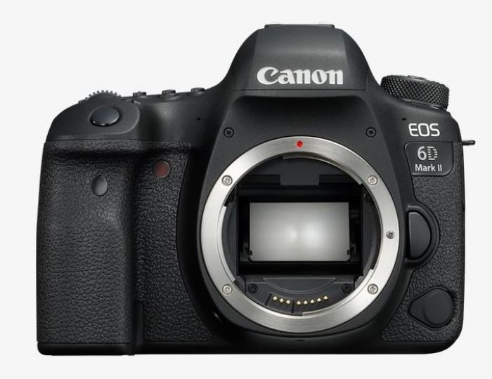 Canon EOS 6D Mark II + Sigma 24-70mm f2.8 DG OS HSM (A) - Foto Erhardt