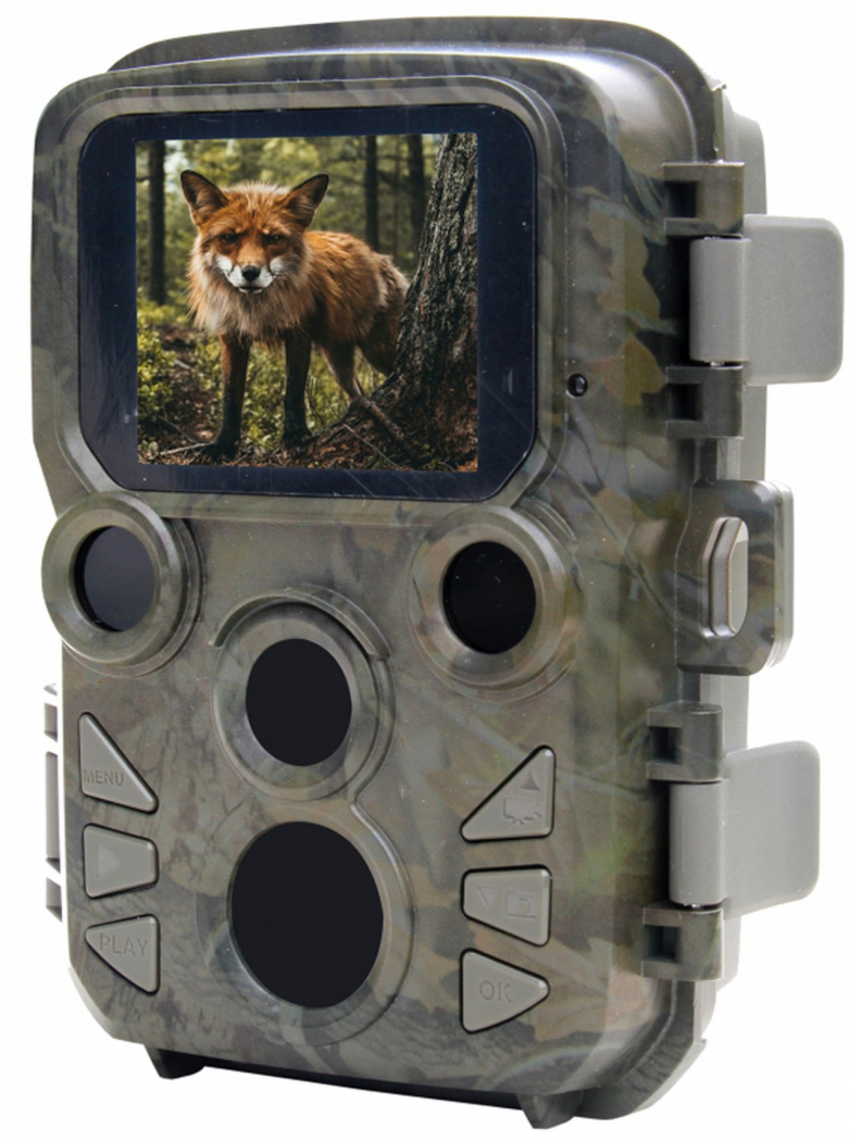 outdoor critter camera