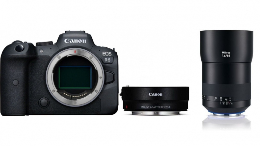 Bedrijf ga verder pensioen Accessoires Canon EOS R6 + Adaptateur EF + ZEISS Milvus 85mm f1,4 - Foto  Erhardt