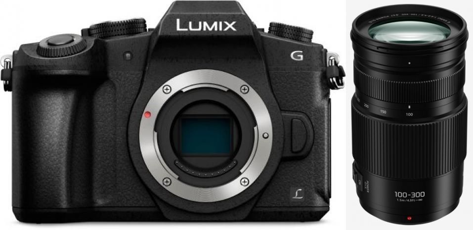 panasonic LUMIX G 100-300mm F4.0-5.6 Ⅱ