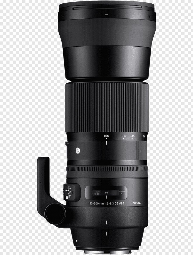 Sigma 150-600mm 1:5-6,3 DG OS HSM C Nikon - Foto Erhardt