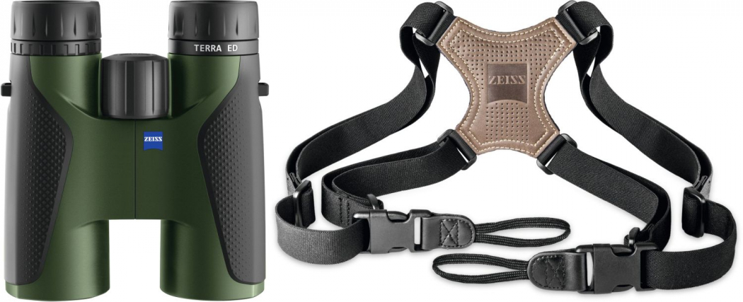 ZEISS Terra ED 10x42 schwarz/grün + Zeiss Komfort-Kreuzriemen