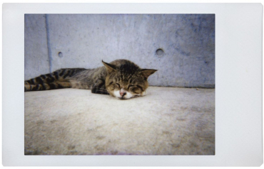 Lomography Lomo Instant & Lenses Henry Steiner