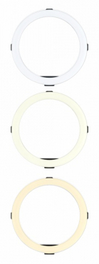 Joby Beamo Ring Light 12 Zoll