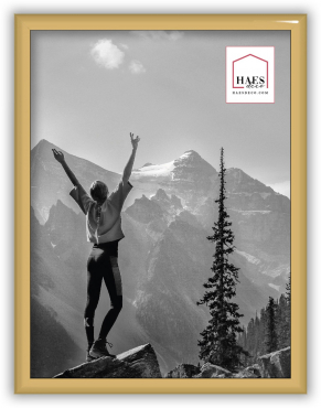 Haes cadre plastique EF3G Easy Frame 15x20cm or
