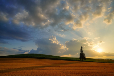 Panasonic Lumix DC-S9 silber/schwarz + Sigma 24mm f2