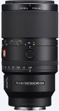 Sony SEL FE 100mm f2.8 Macro GM OSS