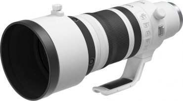 Canon EOS R1 + RF 100-300mm f2.8 L IS USM