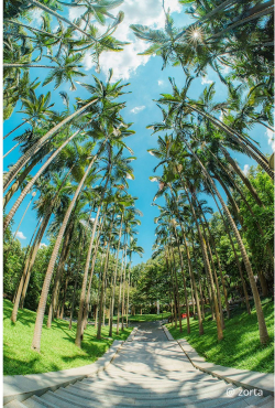 7Artisans AF 10mm f/2,5 MAX Fisheye L-Mount